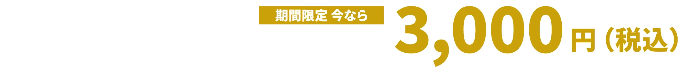 早期割引価格 税込3,000円